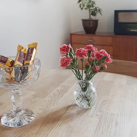 Apatrament Morawka 19