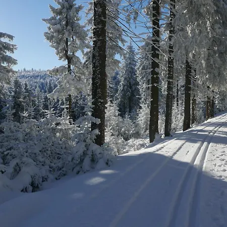 Apatrament Morawka 19