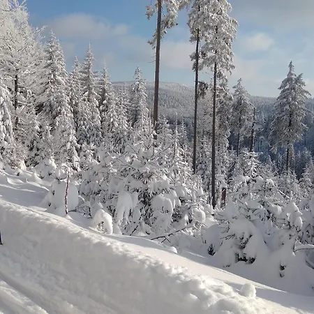 Apartment Apatrament Morawka 19