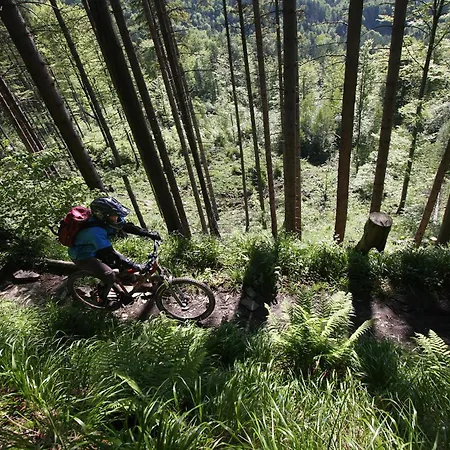 Apatrament Morawka 19