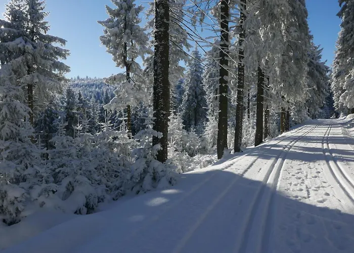 Apatrament Morawka 19