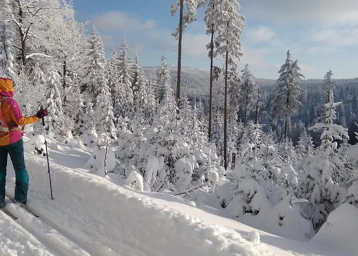 아파트 Apatrament Morawka 19