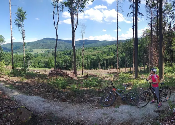 아파트 Apatrament Morawka 19