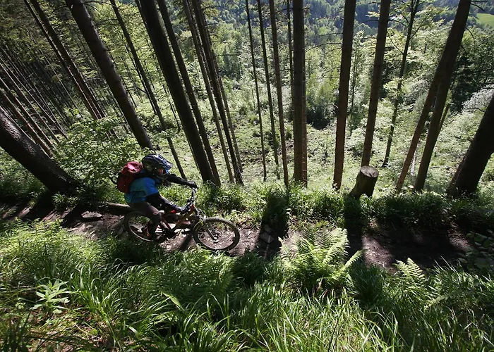 Apatrament Morawka 19